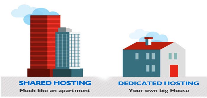 A comparison between Shared and Dedicated web Hosting